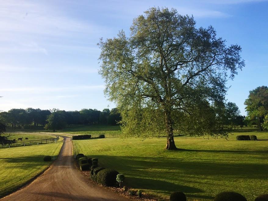 Hotel Haras De La Potardiere Crosmières Екстериор снимка